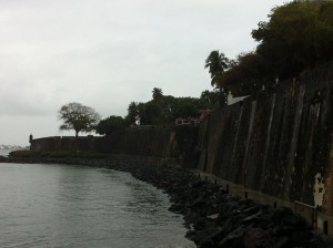 A Rainy Walk