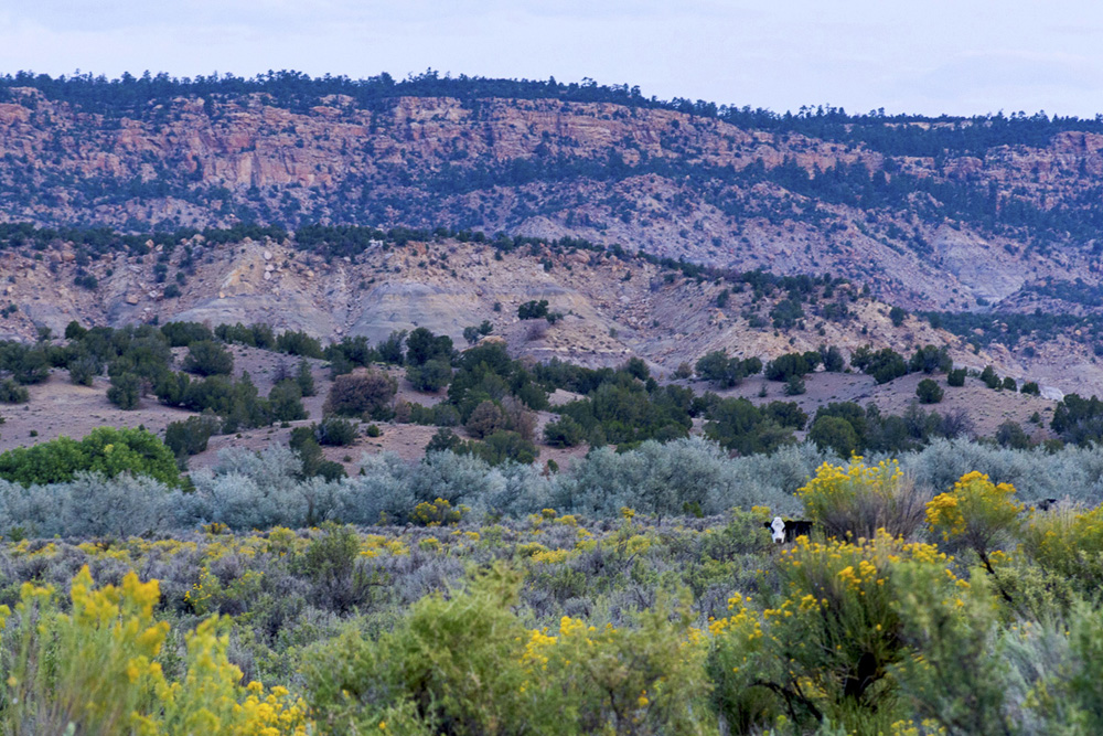 Day Trip Chaco Canyon Echoes from Eden