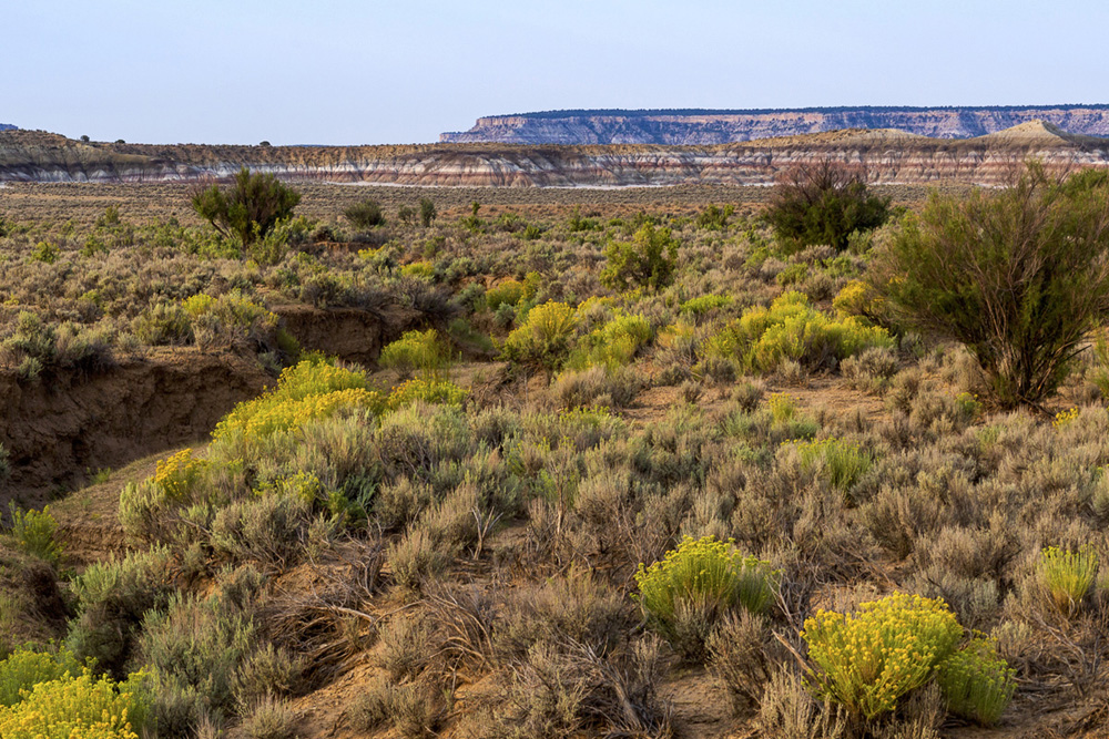 Day Trip Chaco Canyon Echoes from Eden